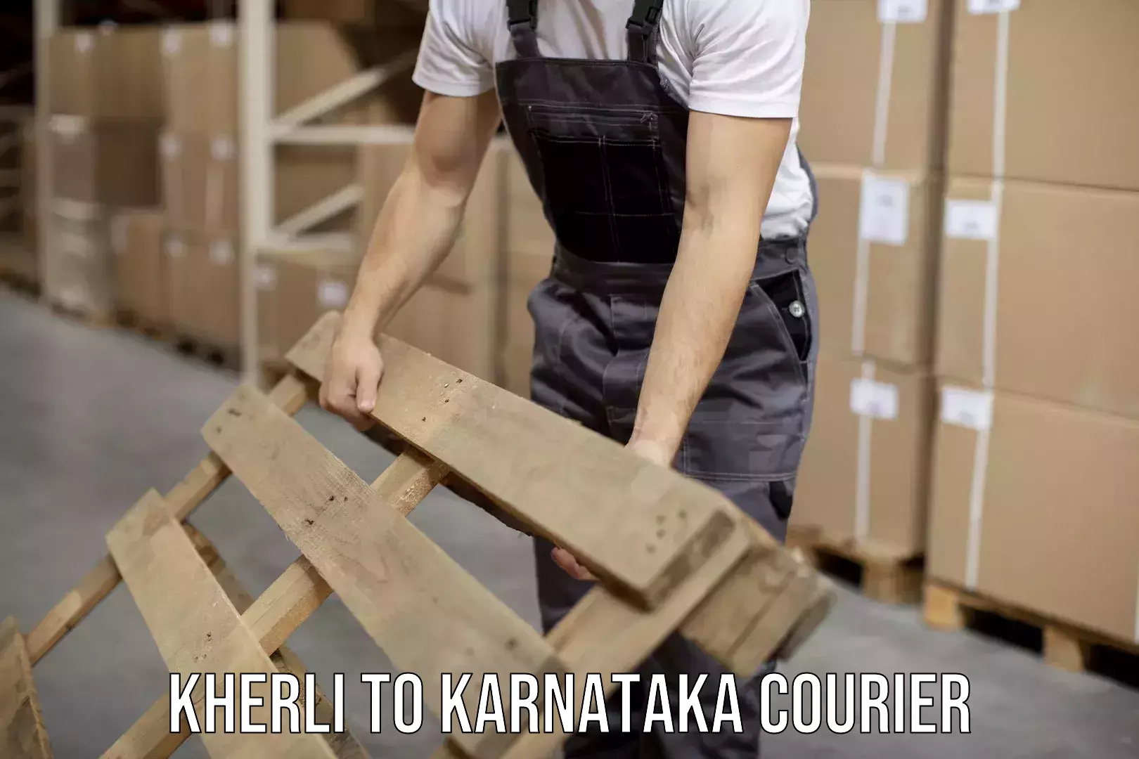 Customer-friendly courier services Kherli to Karnataka