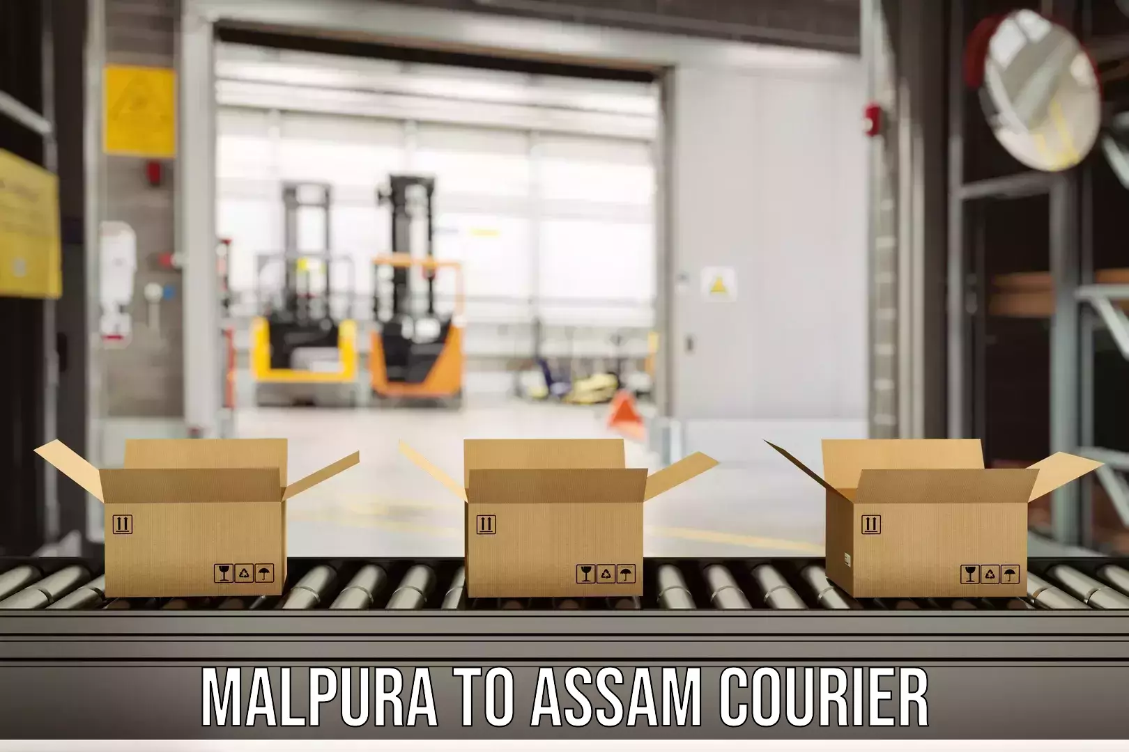 24-hour courier services in Malpura to Dehurda
