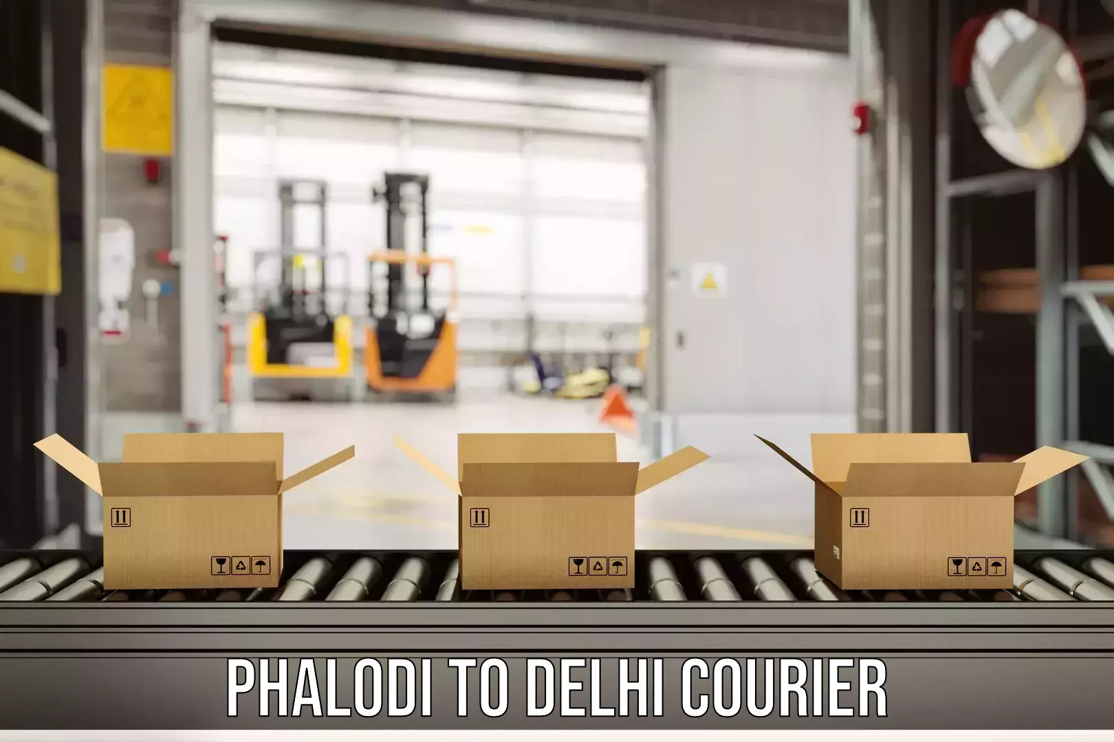 Cash on delivery service Phalodi to Delhi Technological University DTU