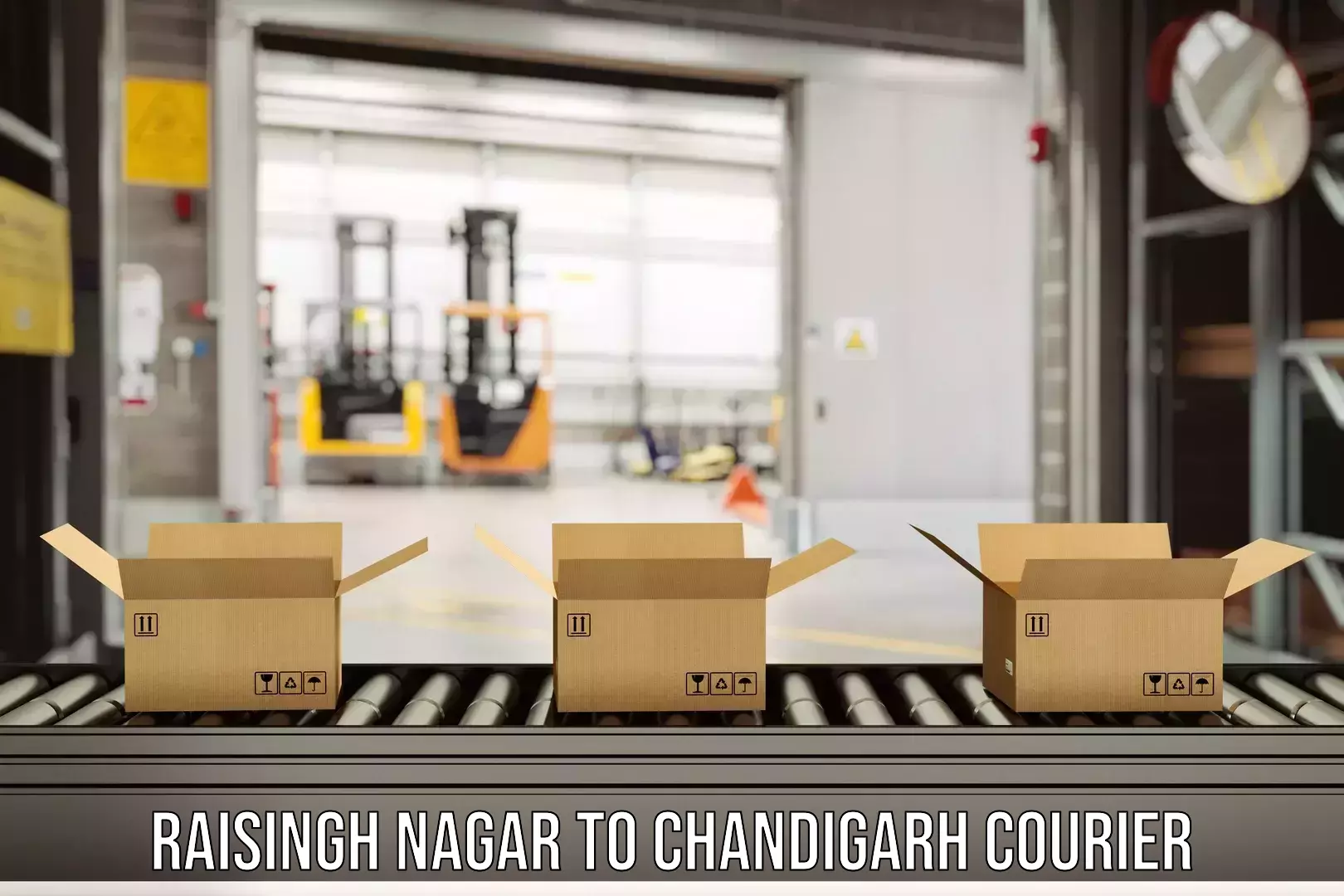 Customizable shipping options in Raisingh Nagar to Chandigarh
