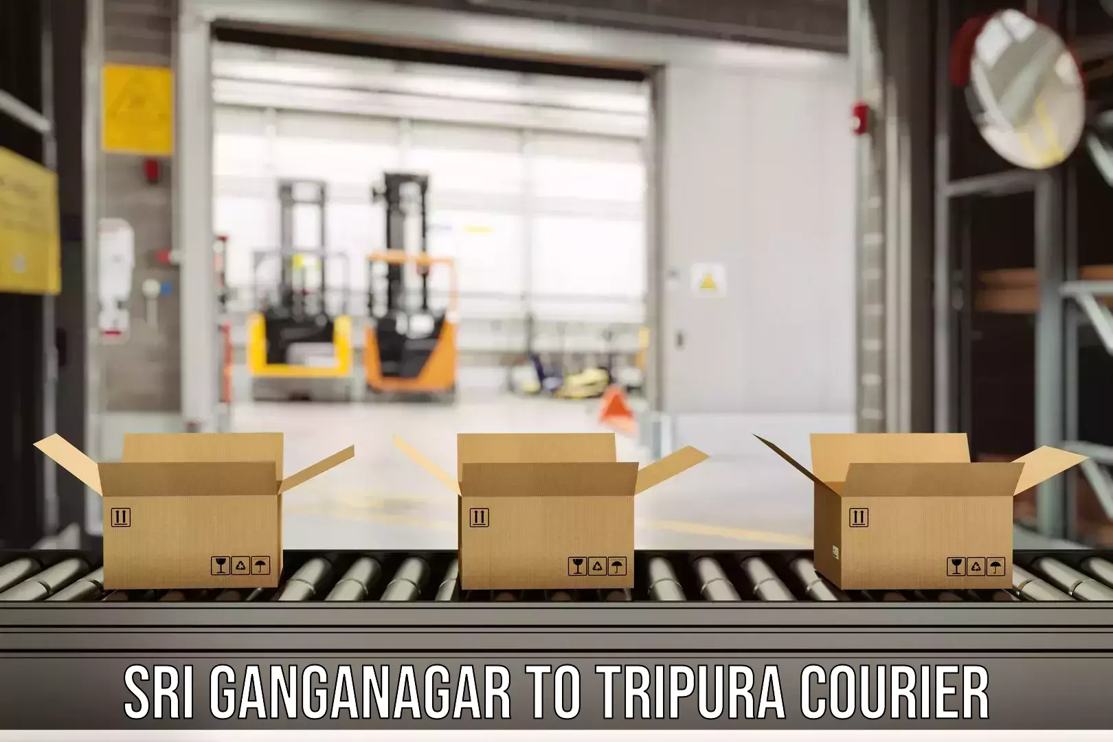 Express mail solutions Sri Ganganagar to Udaipur Tripura