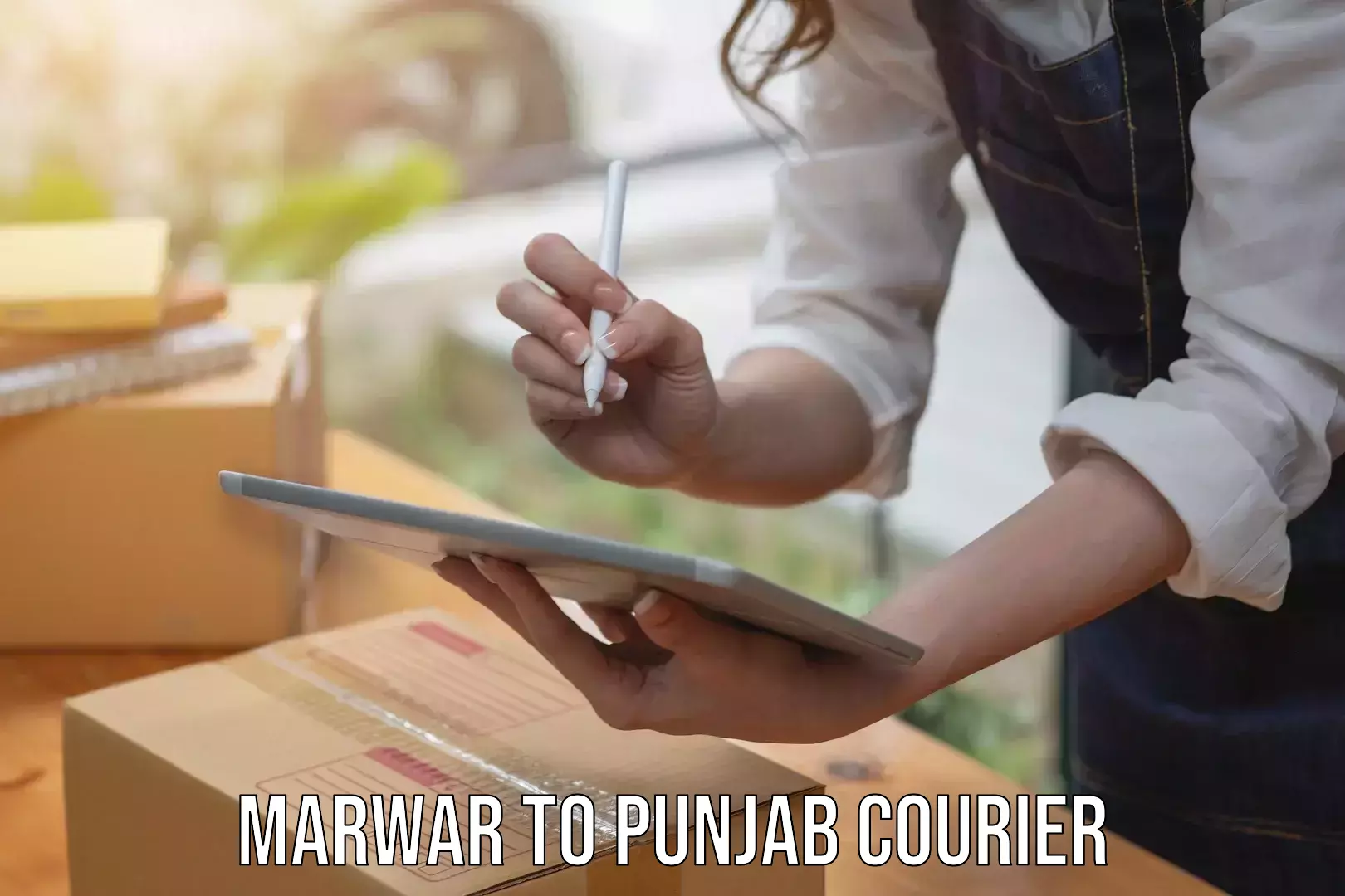 Custom courier rates in Marwar to Zirakpur