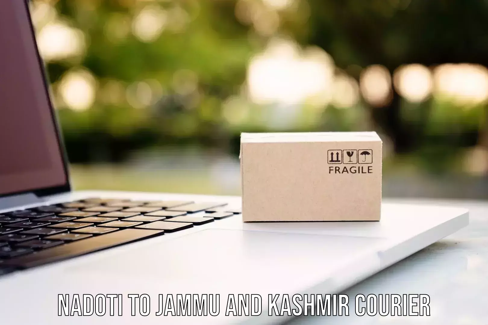 Global parcel delivery Nadoti to University of Kashmir Srinagar