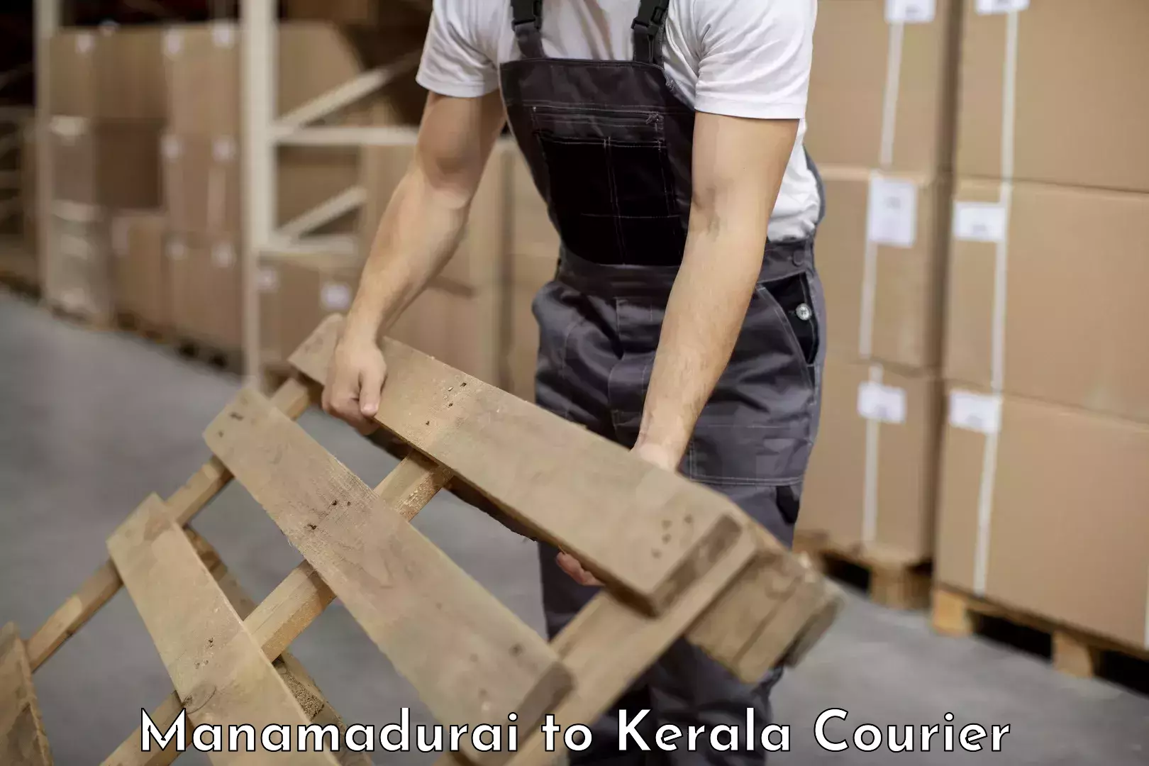 Efficient furniture movers Manamadurai to Edappal