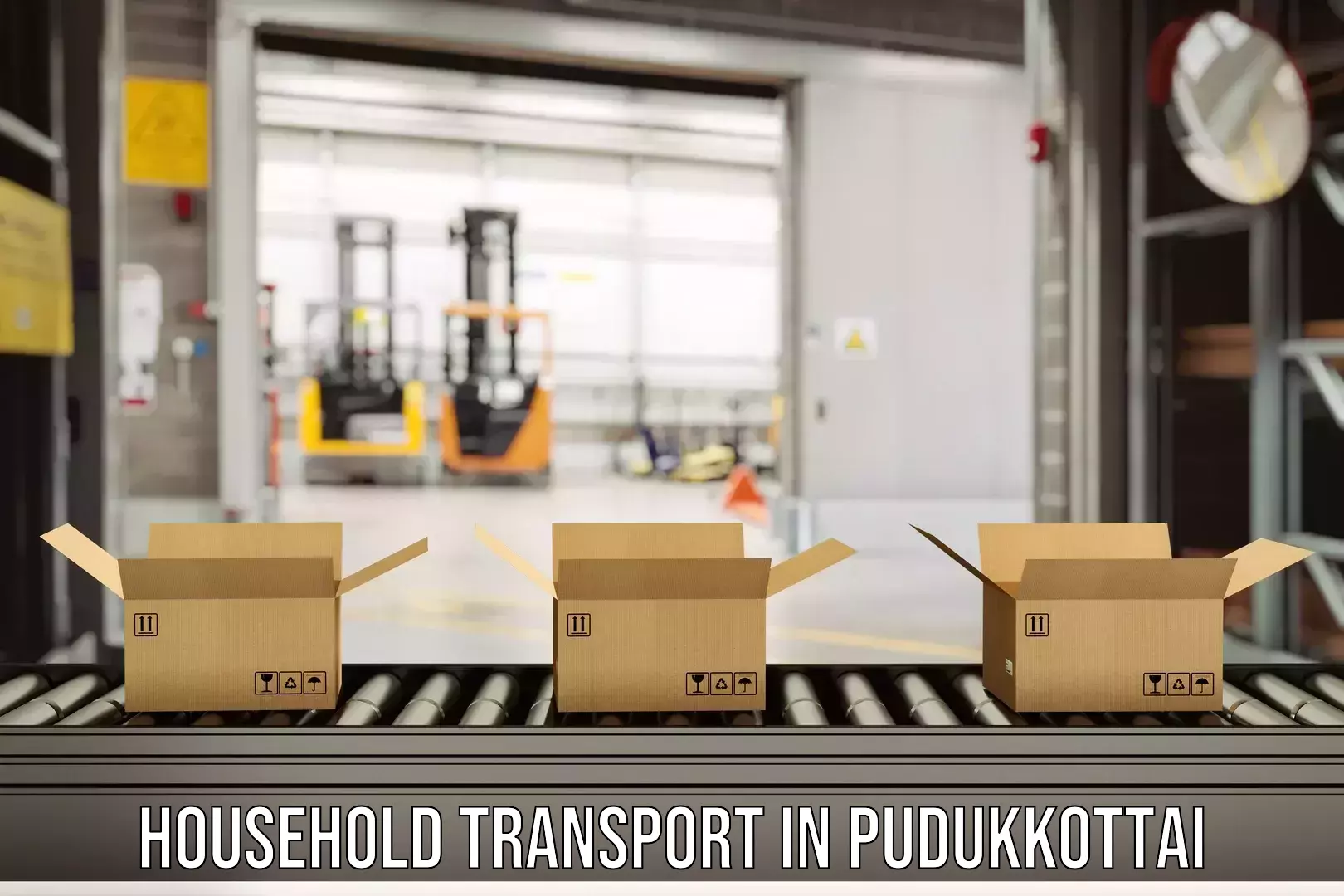 Professional packing and transport in Pudukkottai