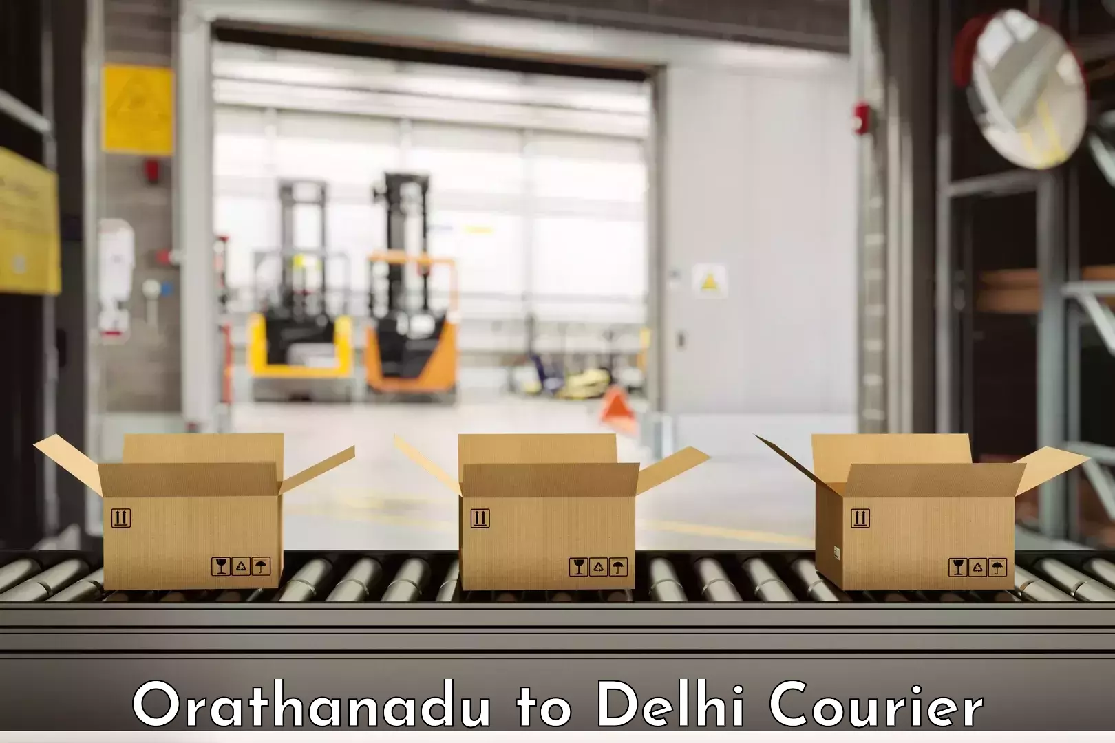 Skilled household transport Orathanadu to University of Delhi