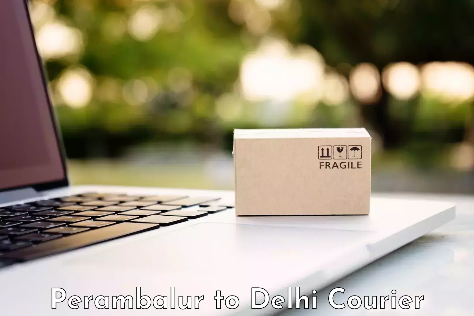 Affordable relocation solutions Perambalur to Delhi Technological University DTU