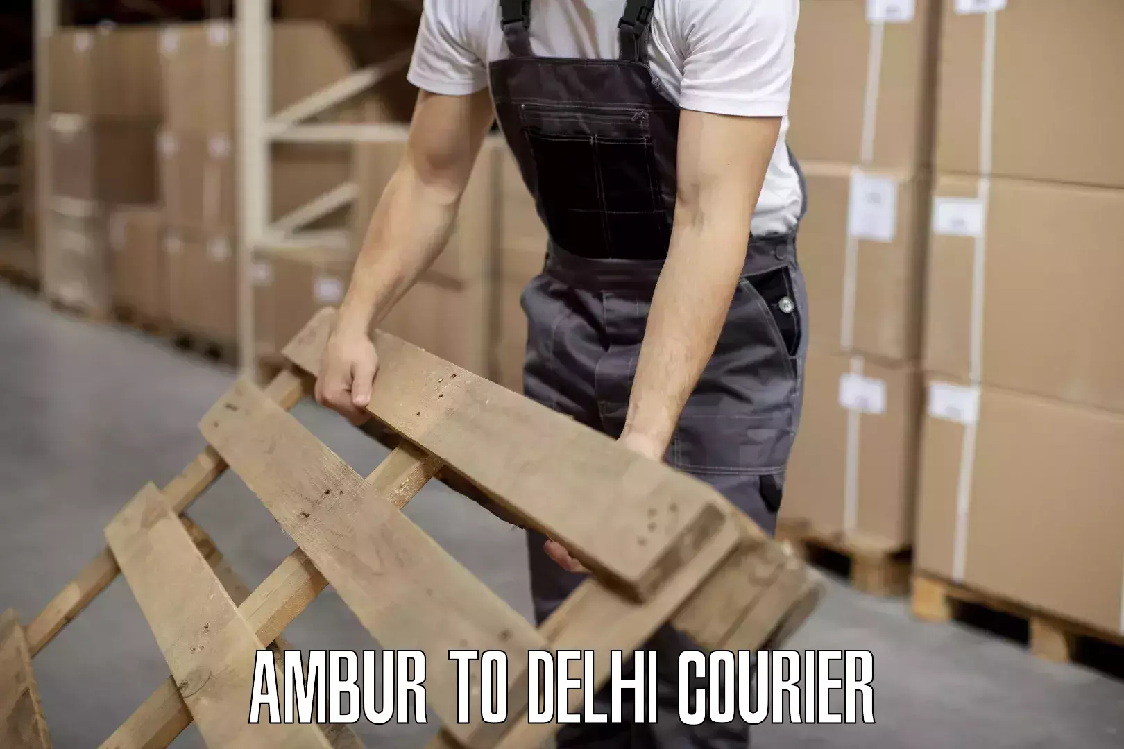 Artwork baggage courier Ambur to University of Delhi