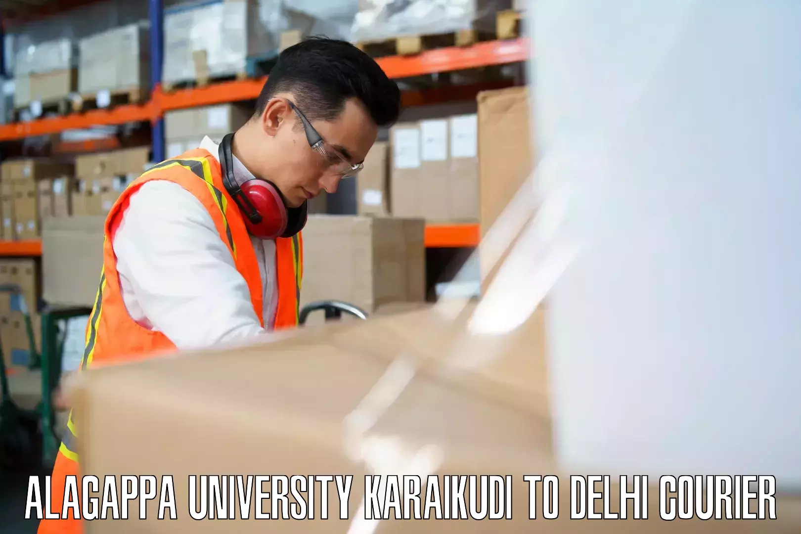 Baggage shipping service Alagappa University Karaikudi to Delhi