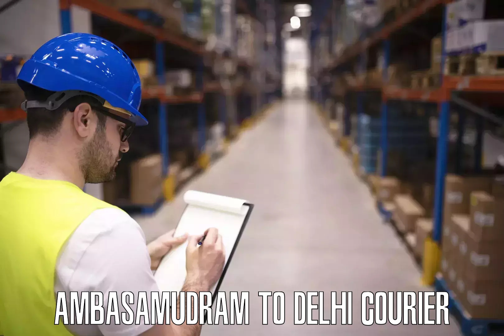 Luggage courier network Ambasamudram to Delhi Technological University DTU