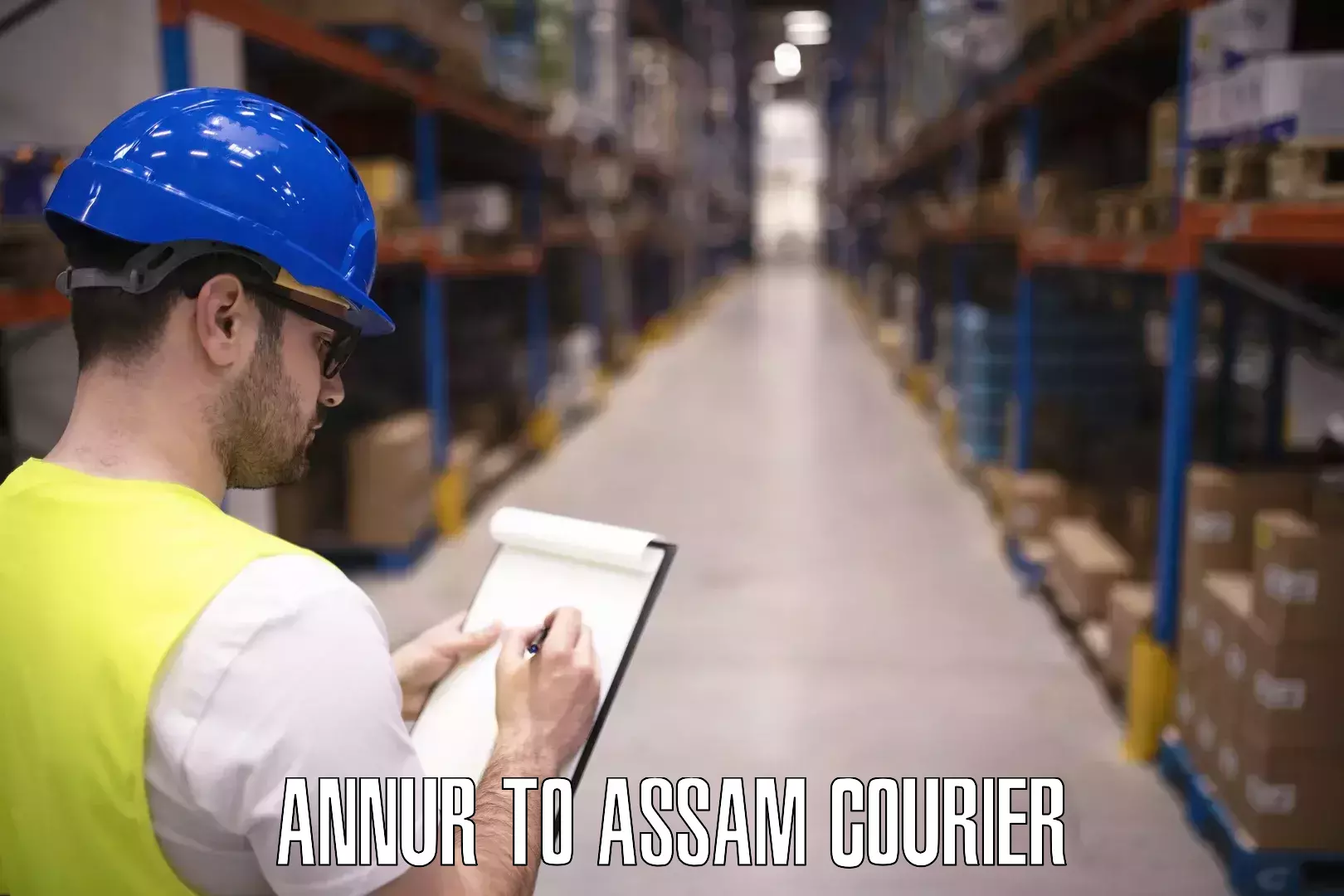 Baggage courier insights Annur to Amoni