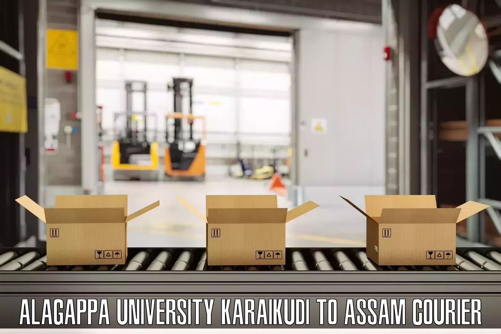 Luggage shipping trends Alagappa University Karaikudi to Naharkatia