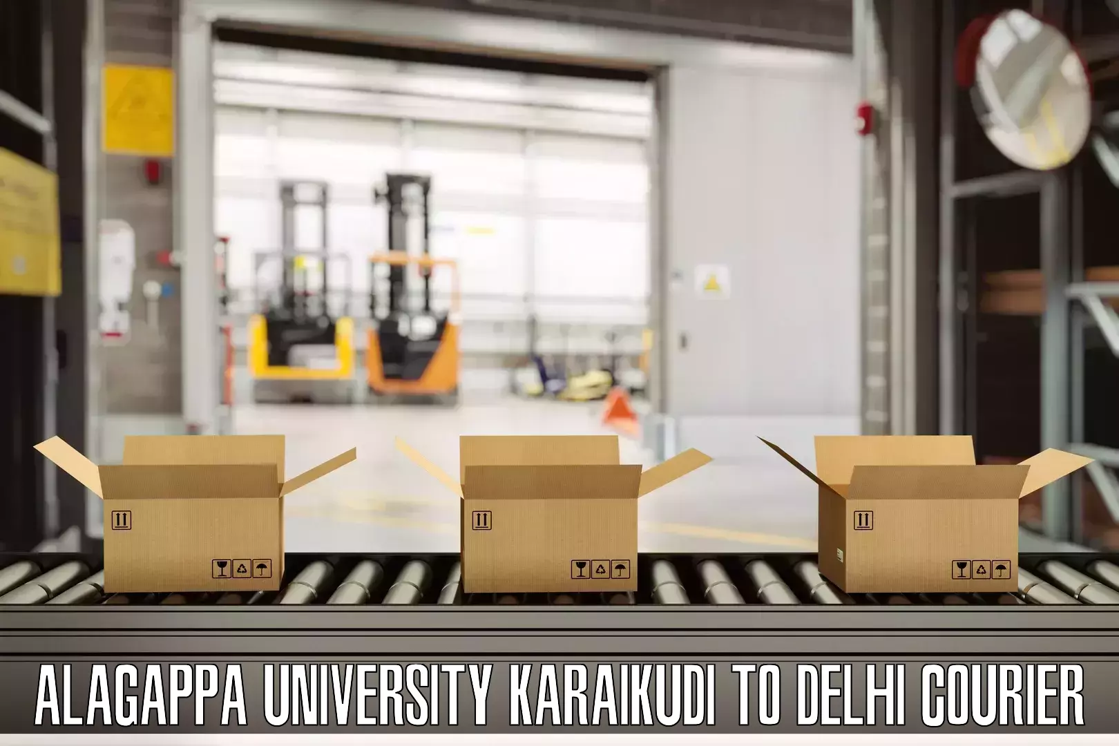 Quick baggage pickup Alagappa University Karaikudi to Jawaharlal Nehru University New Delhi