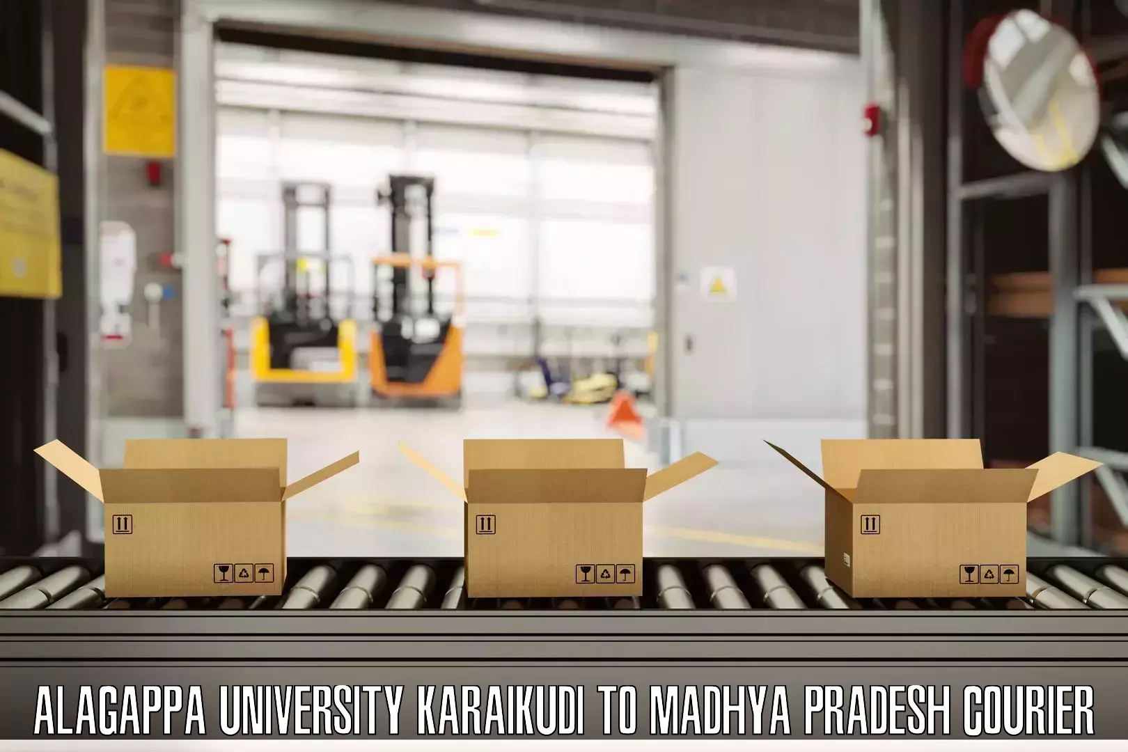 Baggage delivery scheduling Alagappa University Karaikudi to Ashoknagar