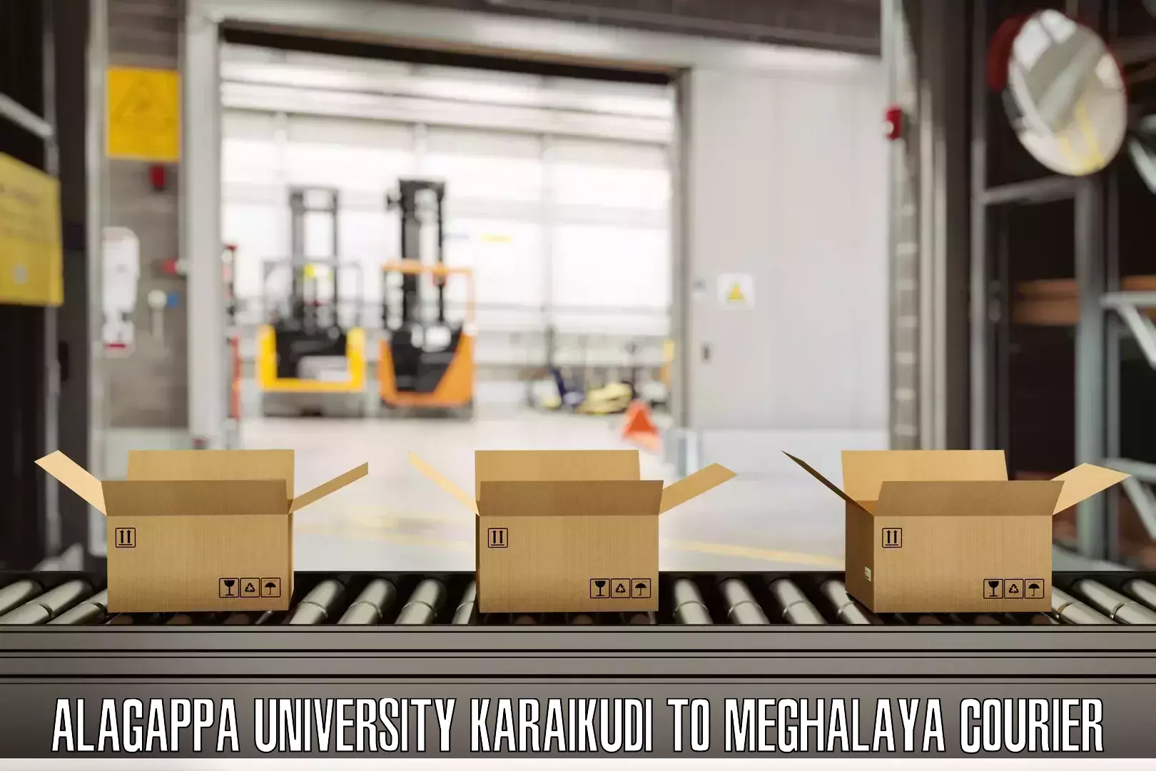Baggage shipping schedule Alagappa University Karaikudi to Meghalaya