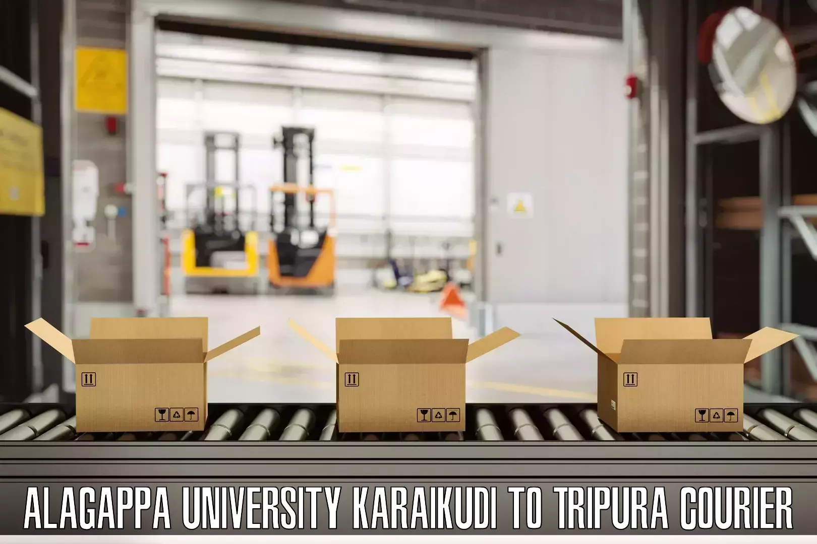 Luggage transport pricing Alagappa University Karaikudi to Manughat
