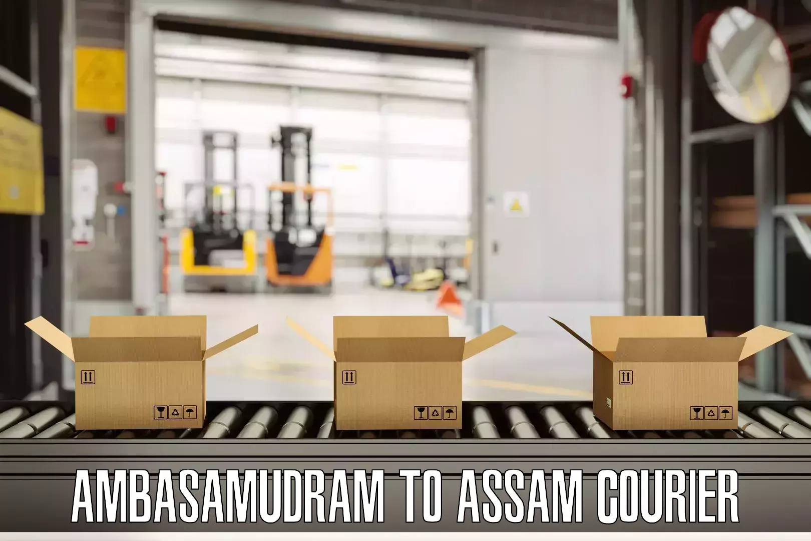 Baggage shipping logistics Ambasamudram to Sarthebari