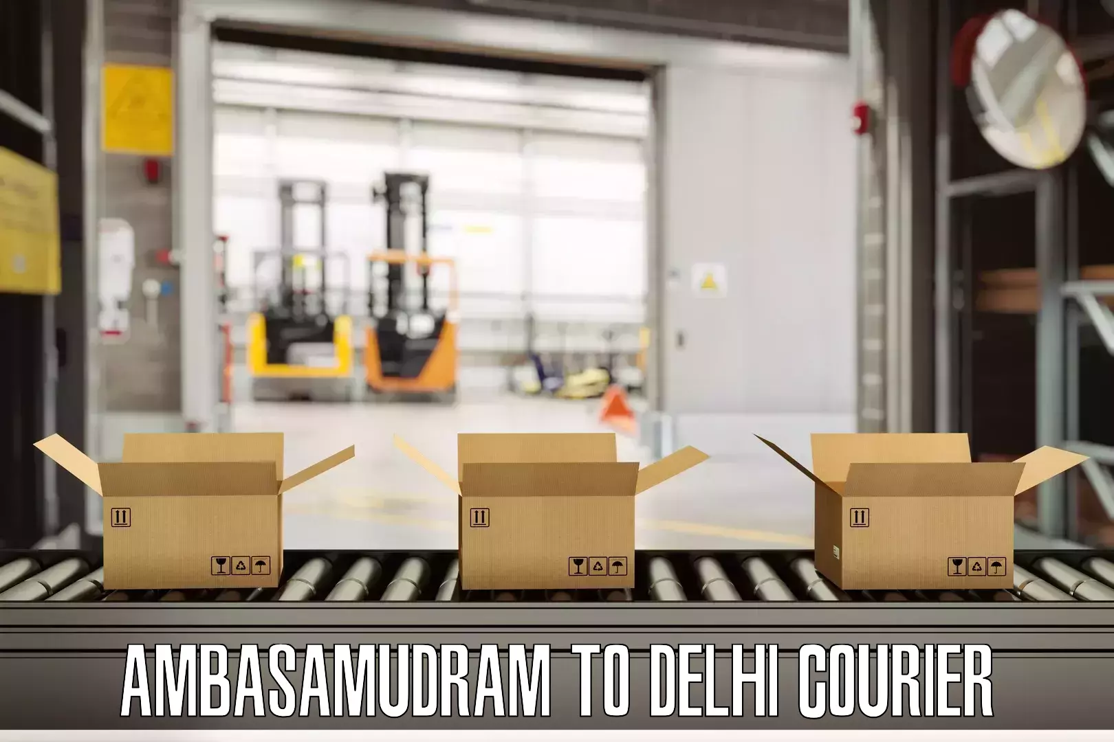 Luggage shipping rates Ambasamudram to East Delhi
