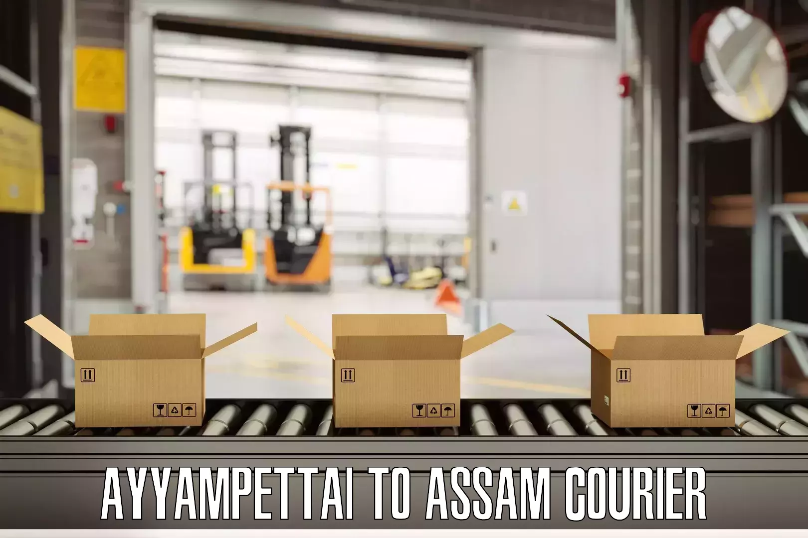 Baggage shipping schedule Ayyampettai to Moranhat