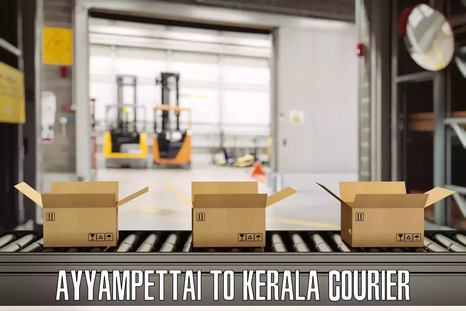 Baggage transport technology Ayyampettai to Parippally
