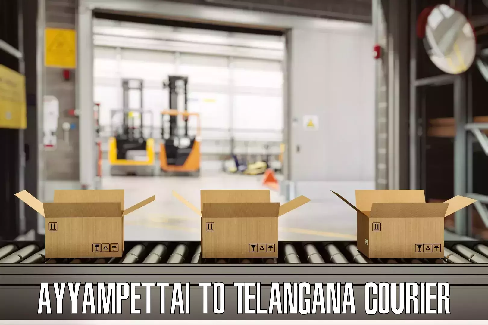 Efficient baggage courier system Ayyampettai to Vemulawada