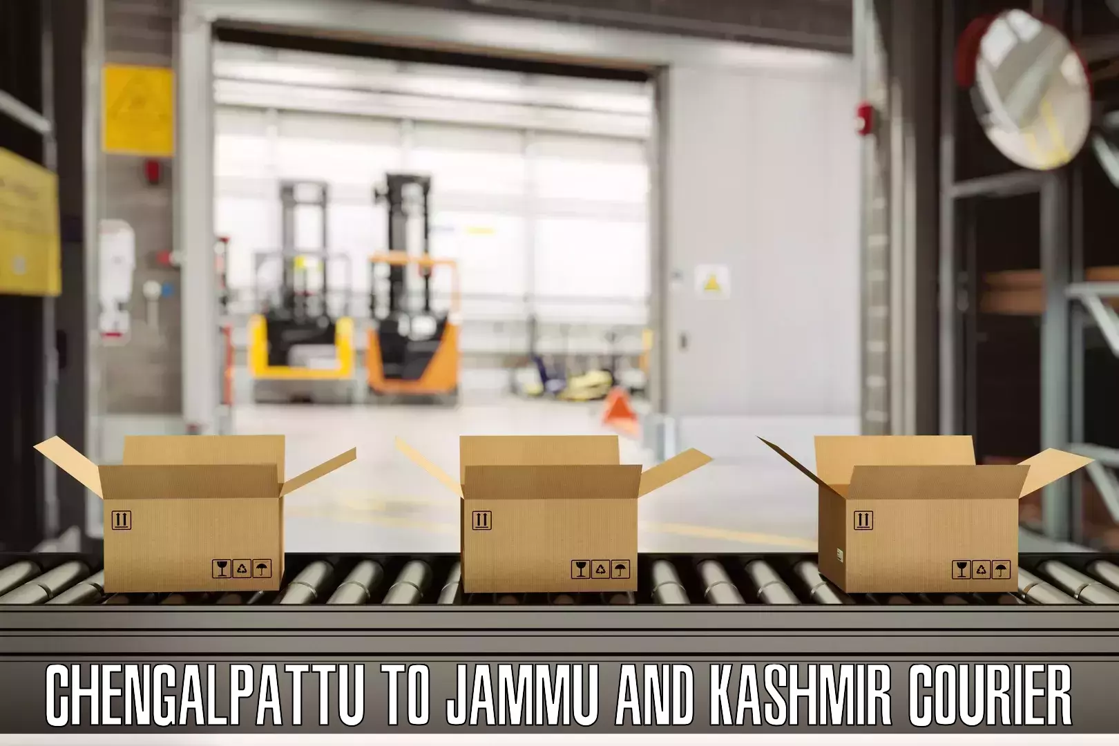 Luggage shipping options Chengalpattu to Jammu