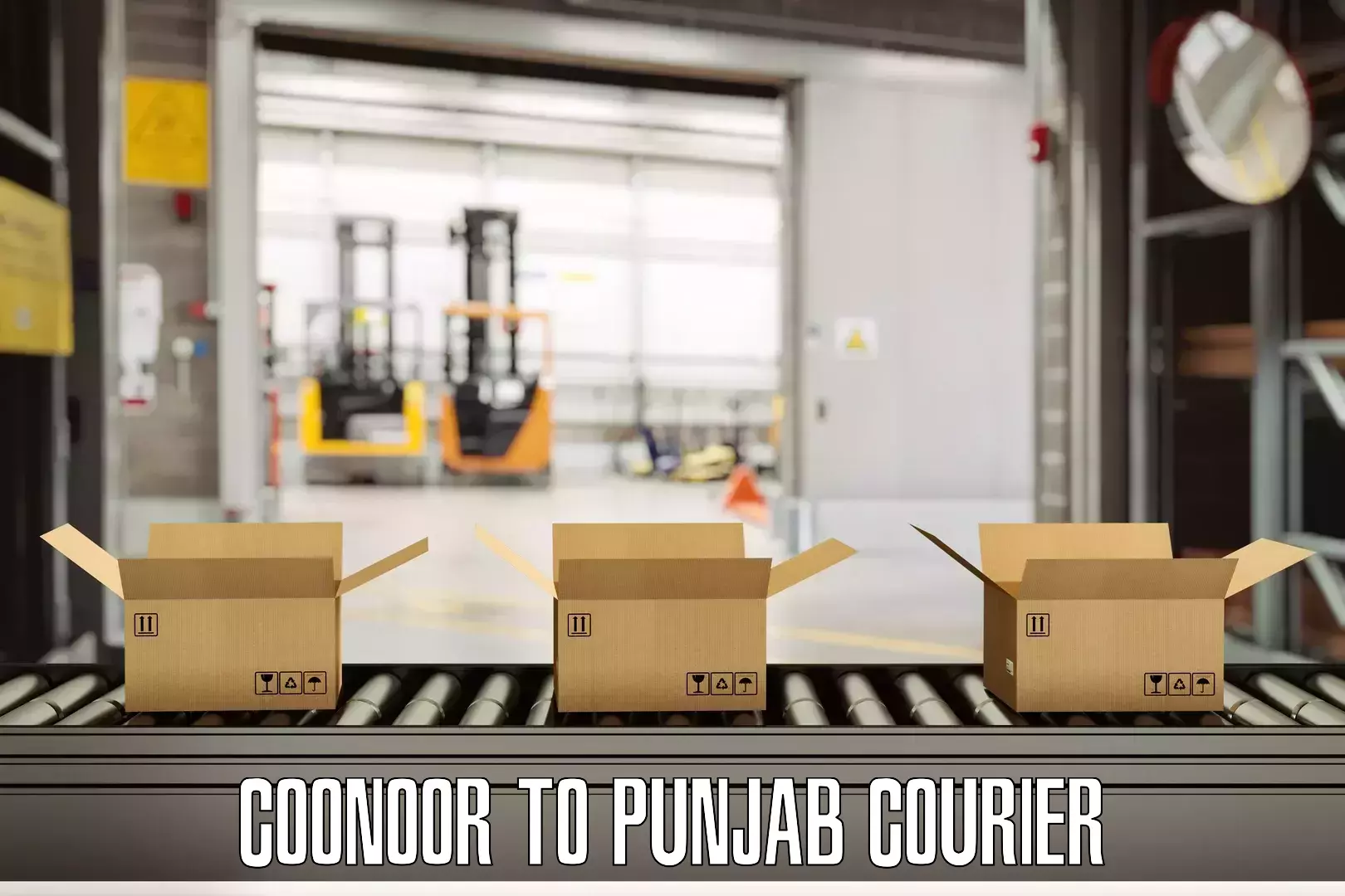Luggage shipping planner Coonoor to Mohali