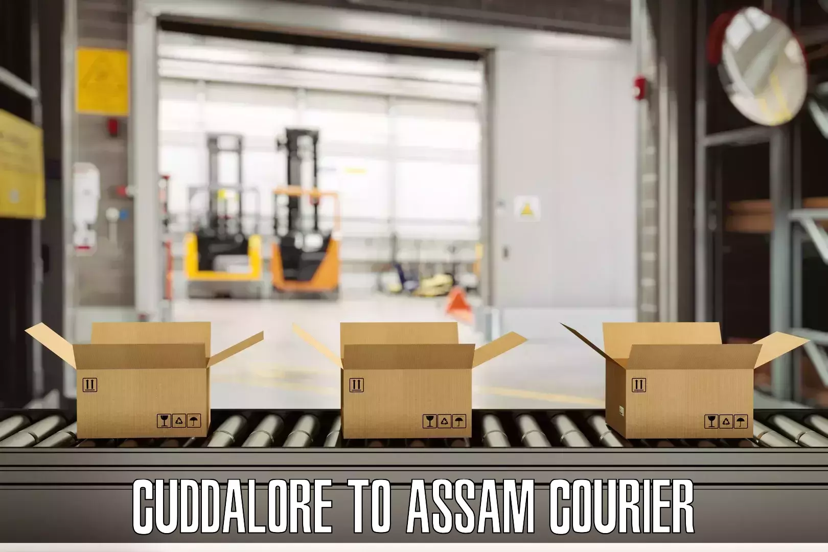 Luggage shipment processing Cuddalore to Assam University Silchar