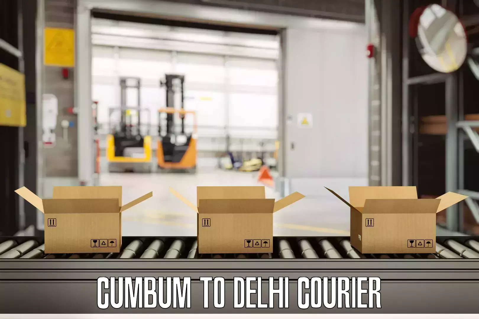 Efficient baggage courier system Cumbum to Ashok Vihar
