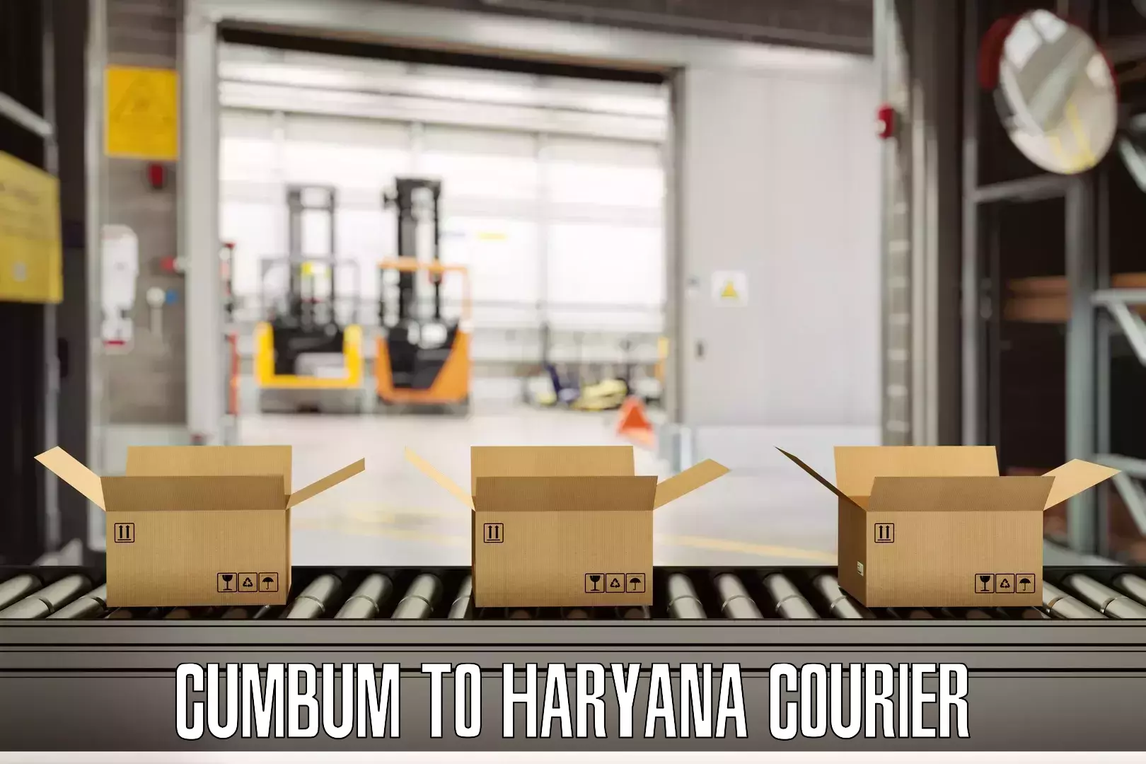 Luggage courier logistics in Cumbum to Bilaspur Haryana