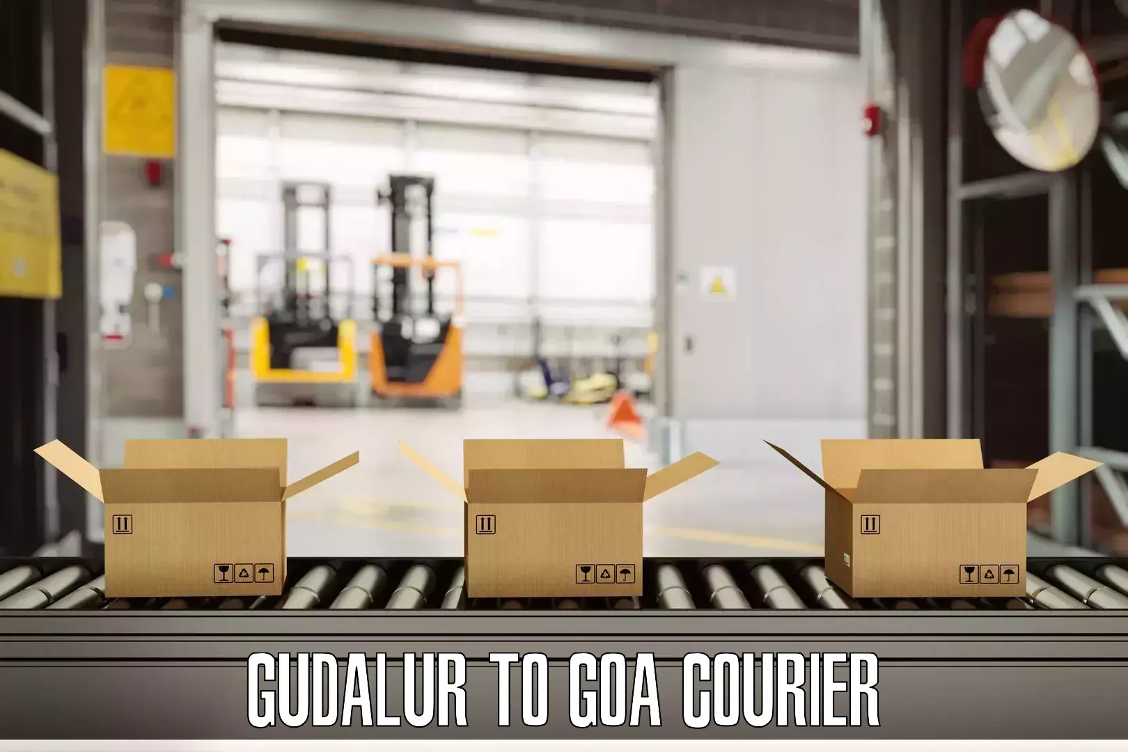 Luggage delivery providers Gudalur to Ponda
