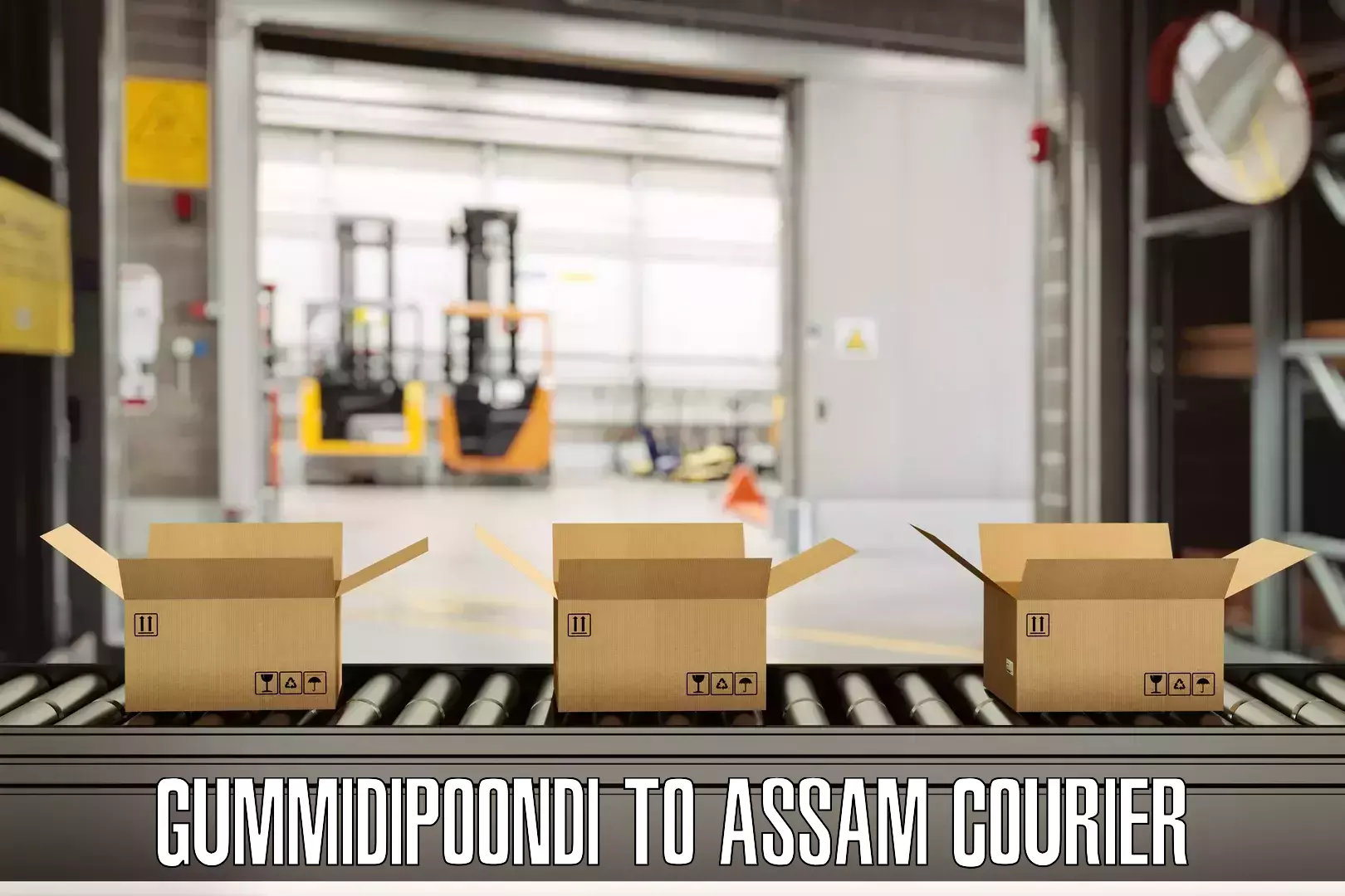 Luggage shipment processing Gummidipoondi to Dibrugarh University