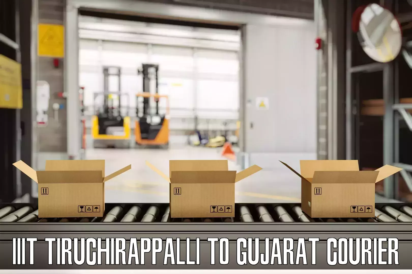 International baggage delivery IIIT Tiruchirappalli to Narmada Gujarat