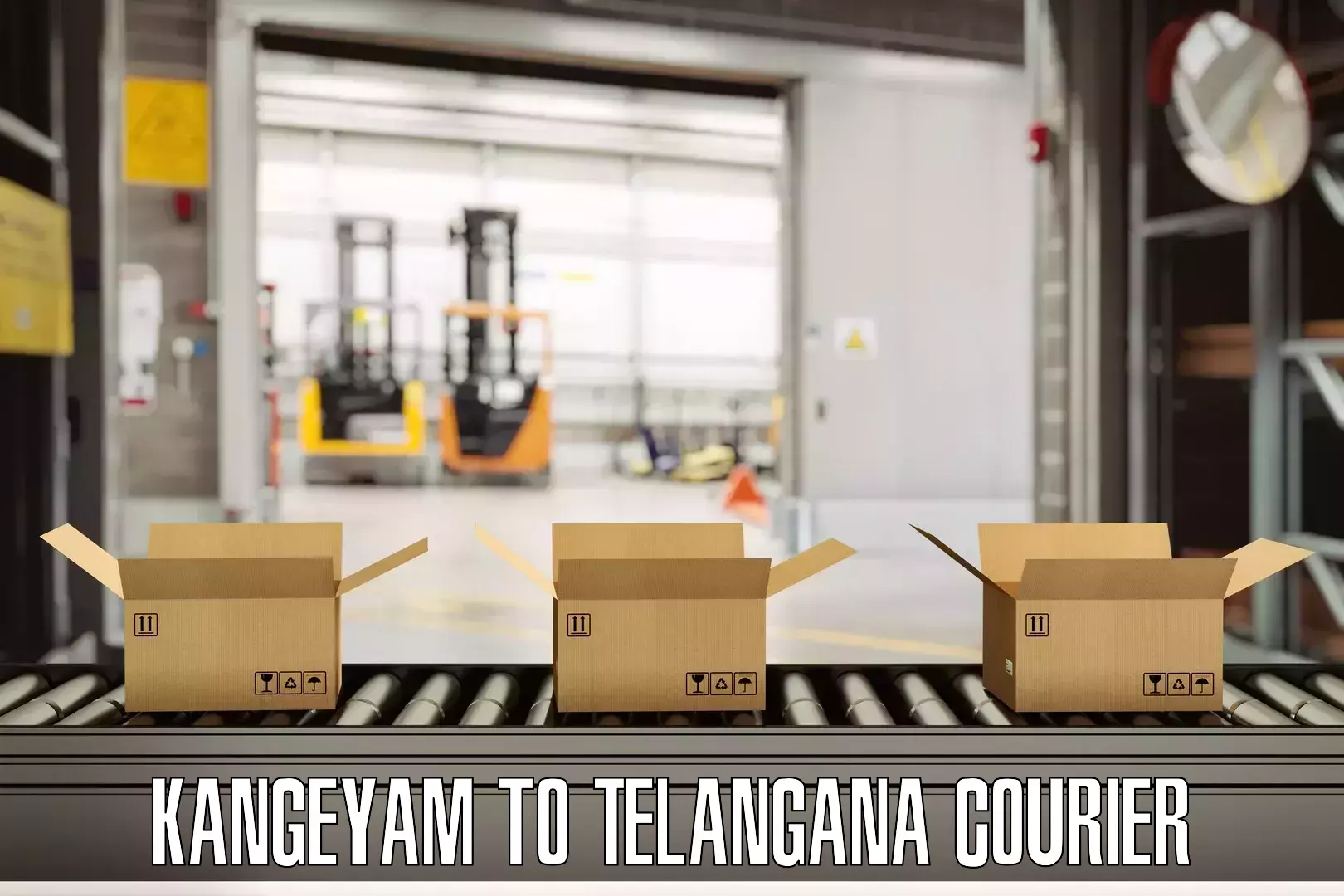 Flexible luggage courier service Kangeyam to Telangana