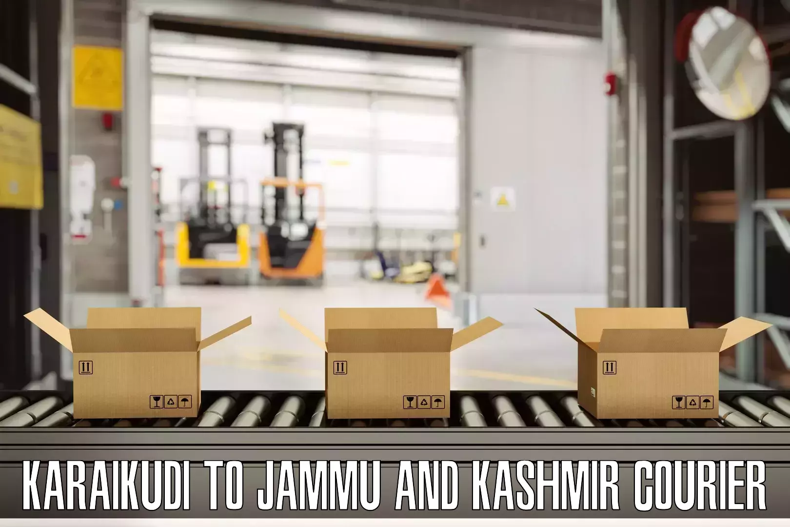 Trackable baggage shipping Karaikudi to Jakh