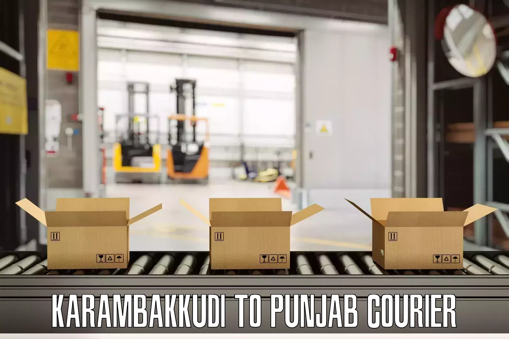 Custom luggage shipping Karambakkudi to Central University of Punjab Bathinda