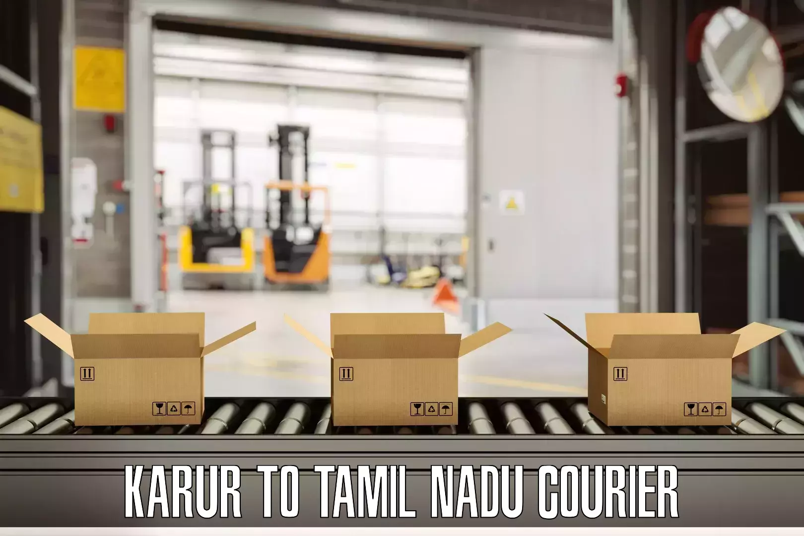 Same day luggage service Karur to Tamil Nadu