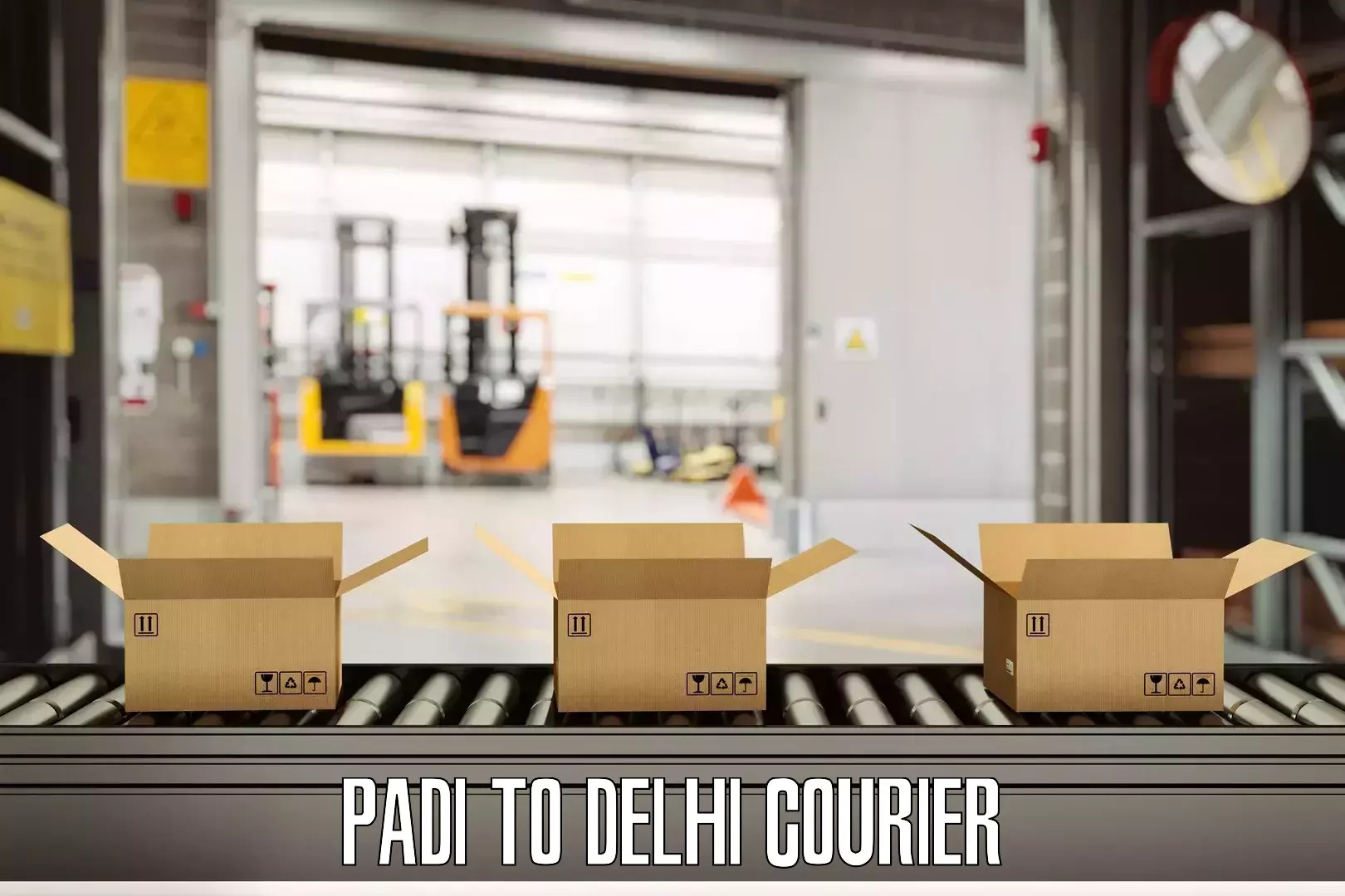 Luggage courier planning Padi to East Delhi