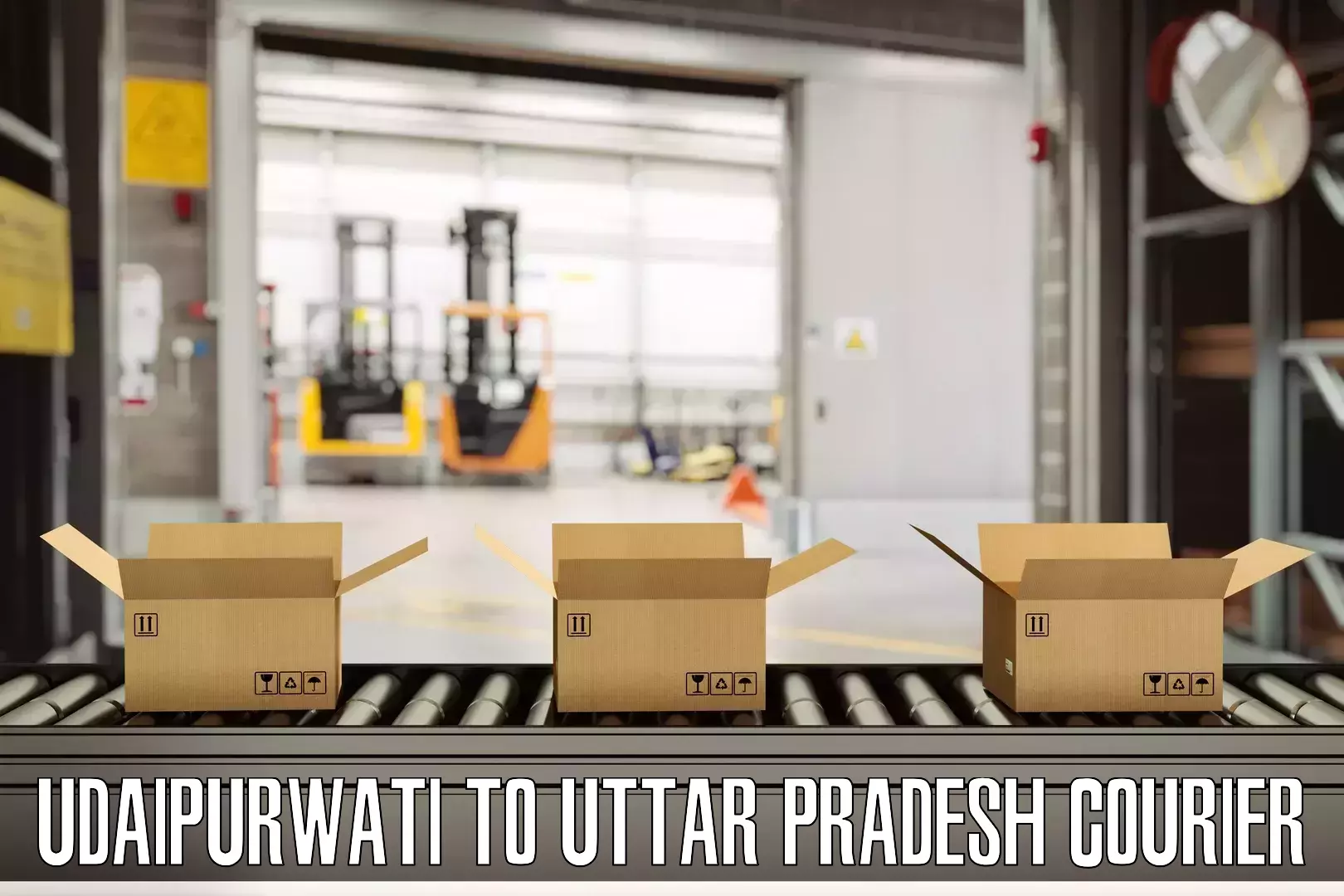 Luggage shipment processing Udaipurwati to Hapur