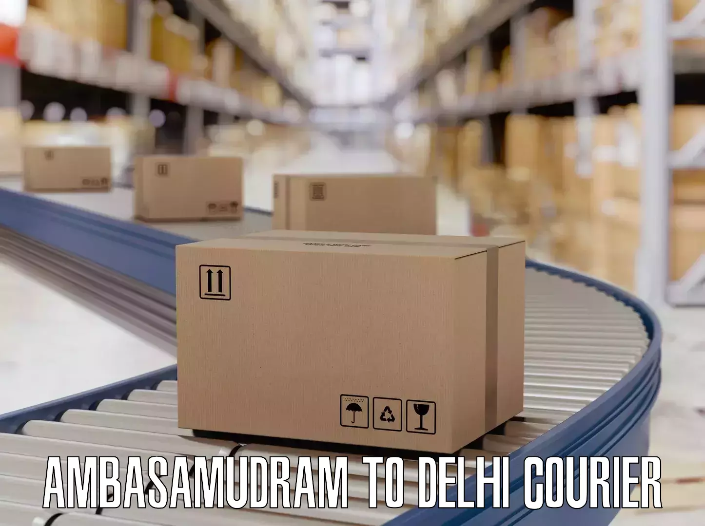 Instant baggage transport quote in Ambasamudram to Delhi Technological University DTU
