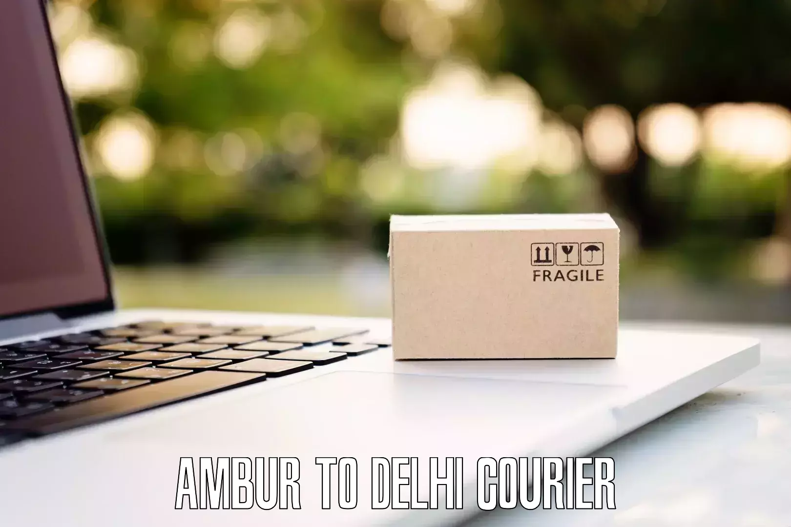 Instant baggage transport quote Ambur to Delhi