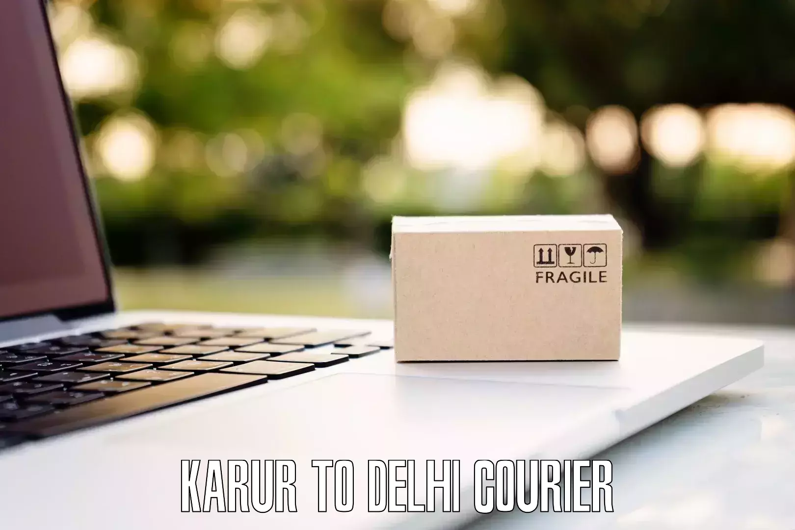 Luggage courier services in Karur to Jamia Millia Islamia New Delhi