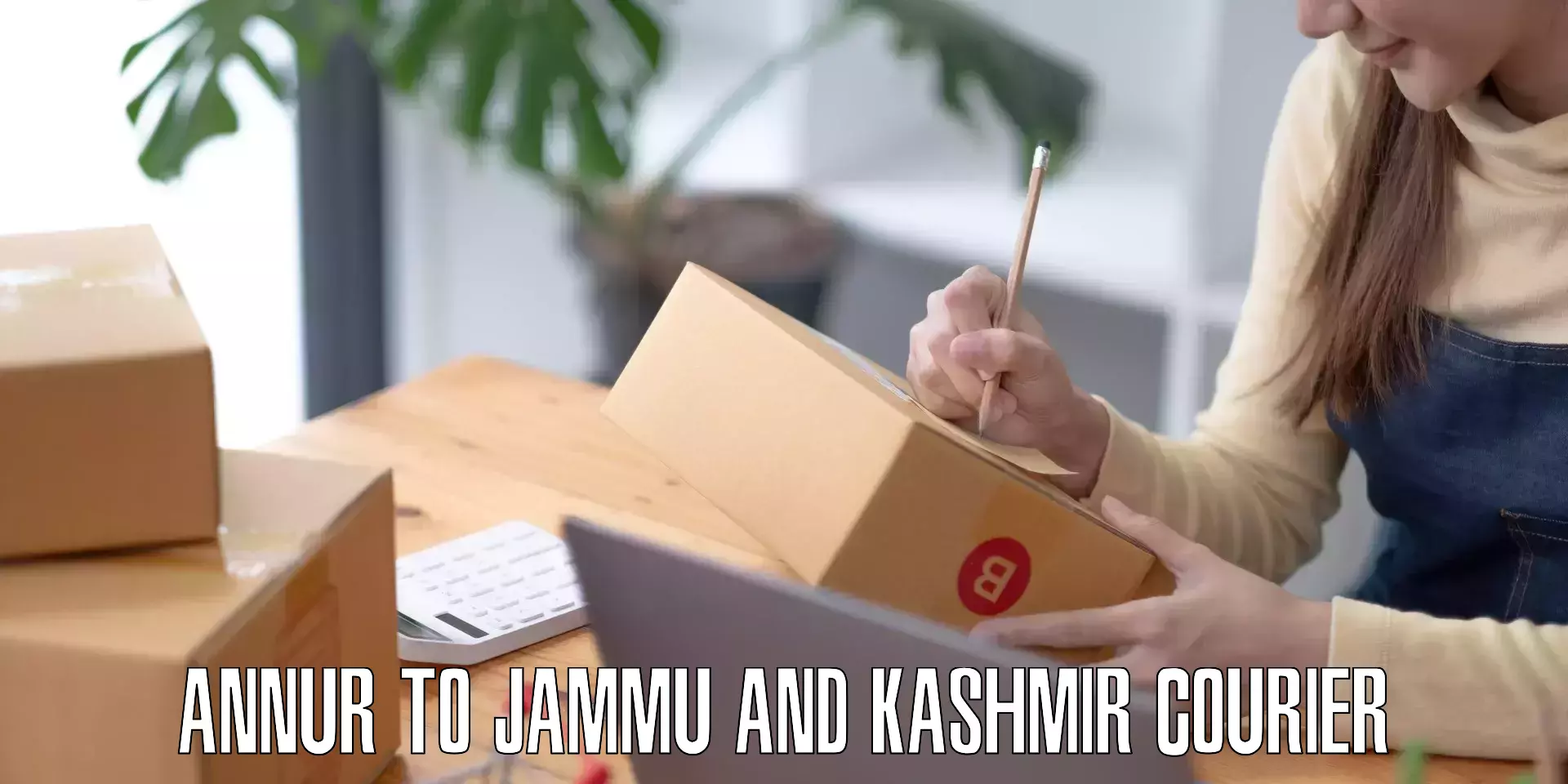 Baggage delivery scheduling Annur to Jammu and Kashmir