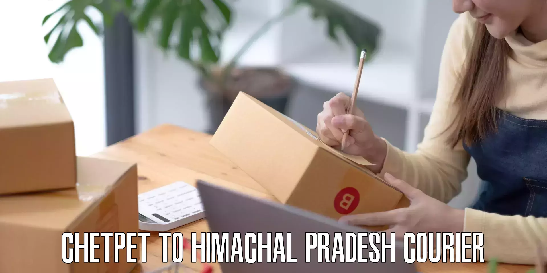 Express luggage delivery in Chetpet to Una Himachal Pradesh