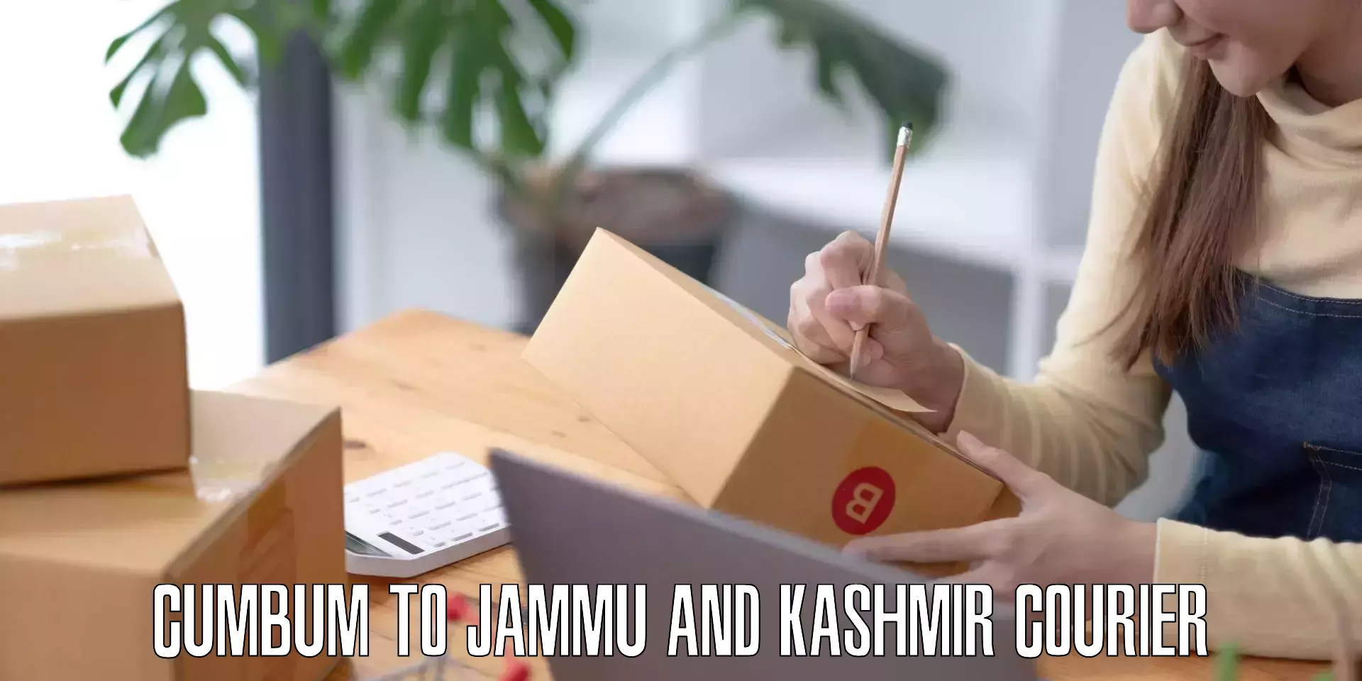 Baggage shipping calculator Cumbum to Jammu
