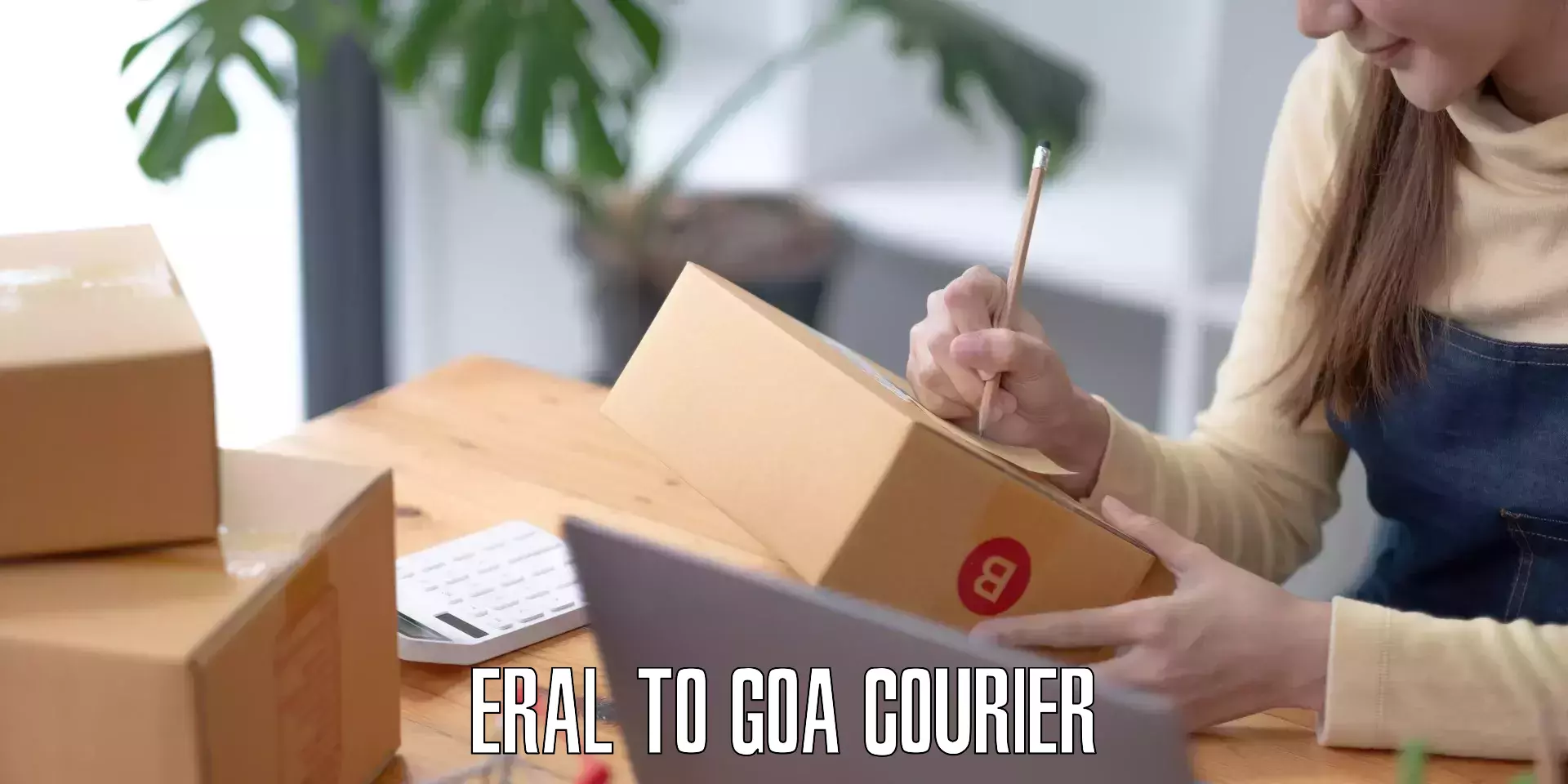 Luggage shipping strategy Eral to South Goa