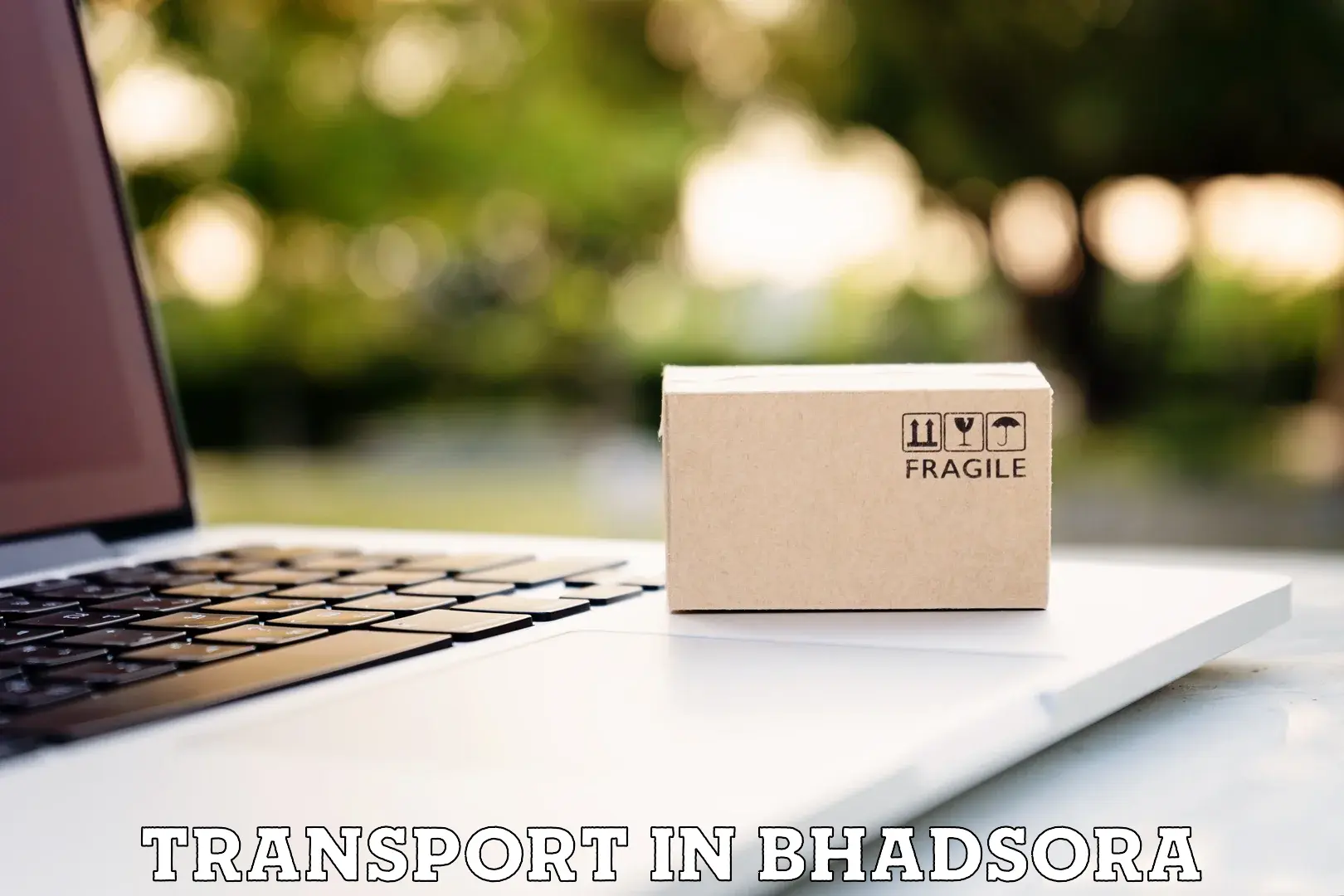 Intercity goods transport in Bhadsora