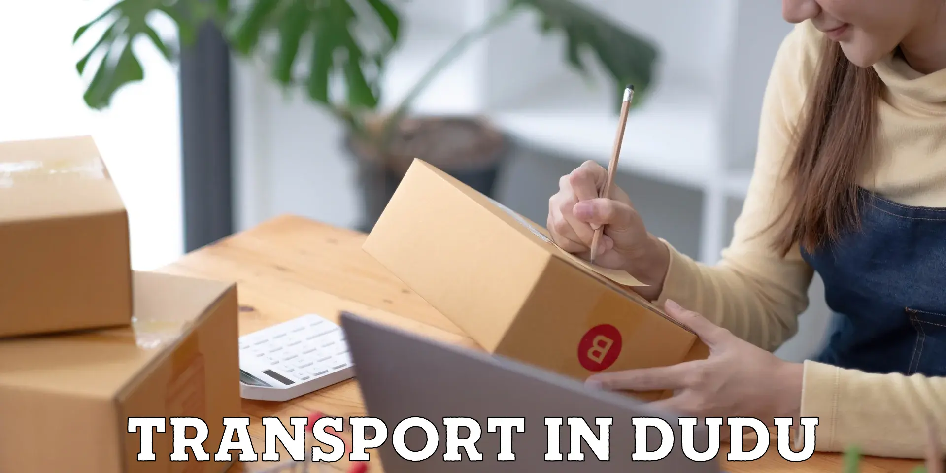 Luggage transport services in Dudu